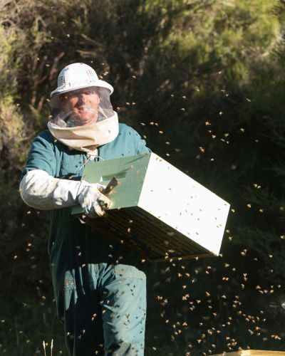 Clover honey New Zealand