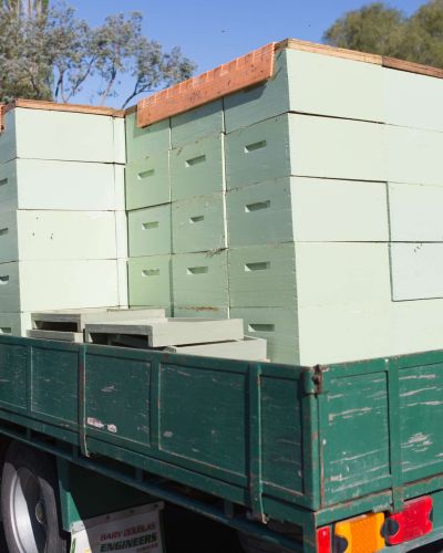 Clover honey New Zealand